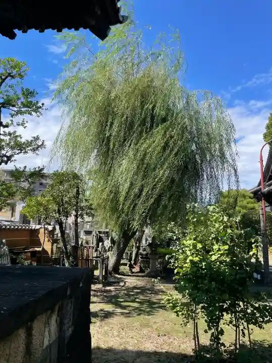 相応寺(神奈川県)