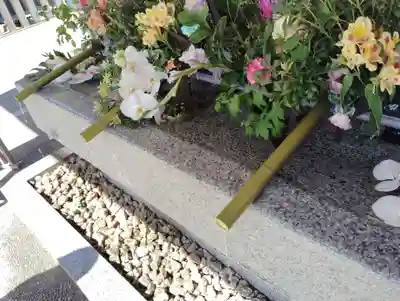 生田神社の手水舎