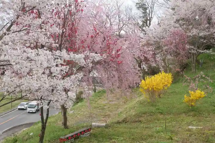 阿久津「田村神社」(郡山市阿久津町)旧社名:伊豆箱根三嶋三社の庭園