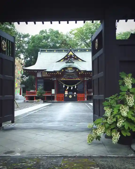 玉村八幡宮(群馬県)