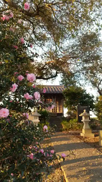 相野谷八幡神社(茨城県)