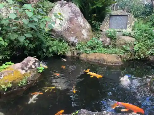 愛染明王堂(静岡県)