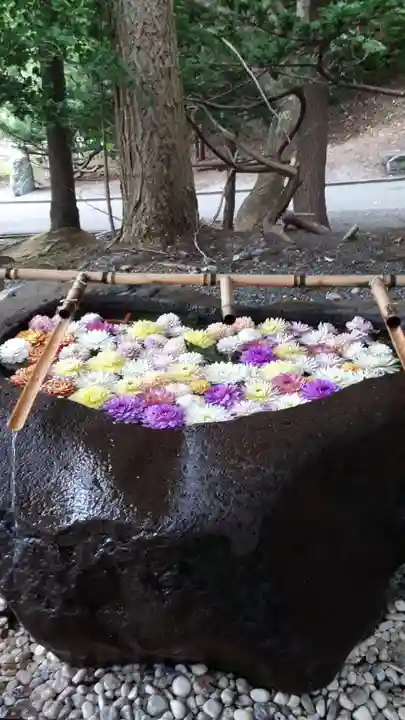 千歳神社の手水舎
