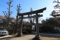 隅田川神社の鳥居