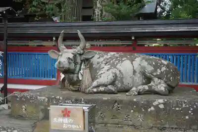 飛驒天満宮の狛犬