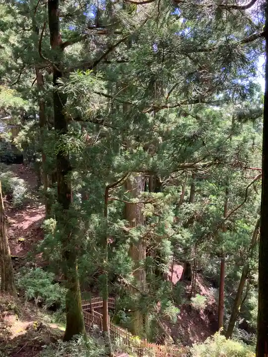 玉置神社(奈良県)