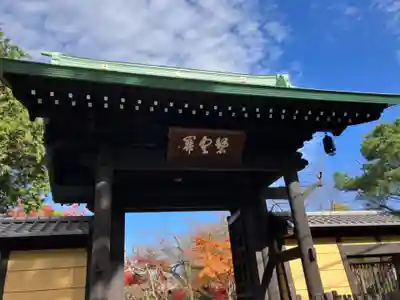 豪徳寺(東京都)