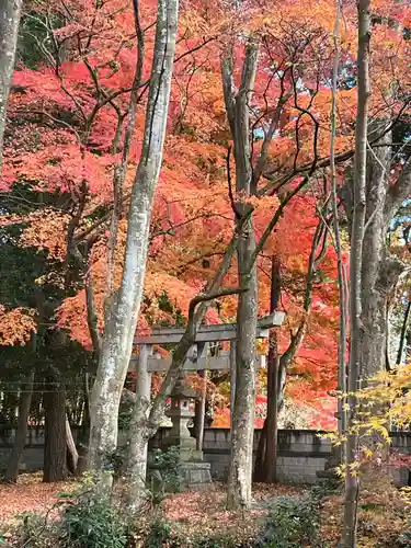 高岩神社(栃木県)