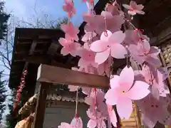 滑川神社 - 仕事と子どもの守り神(福島県)