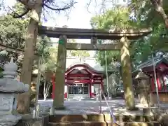 熊野神社(宮崎県)