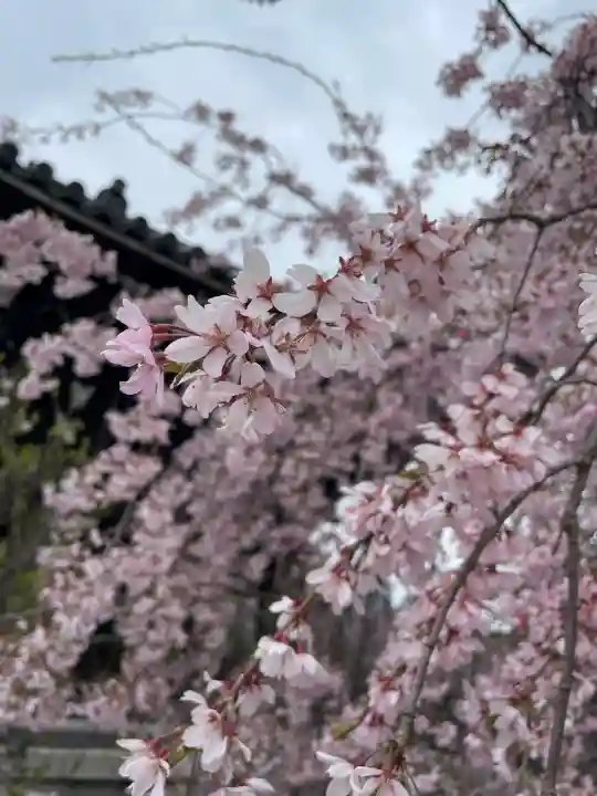 吉祥寺(東京都)