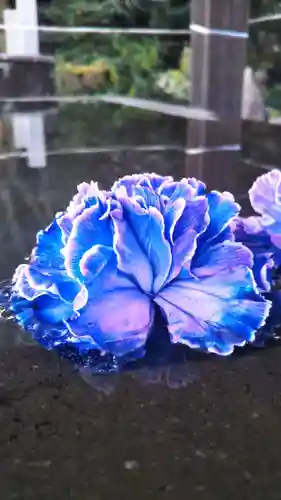 前玉神社の手水舎