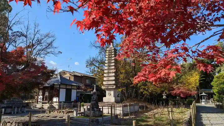 乙訓寺(京都府)