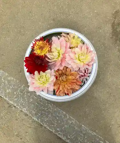 岡寺（龍蓋寺）(奈良県)