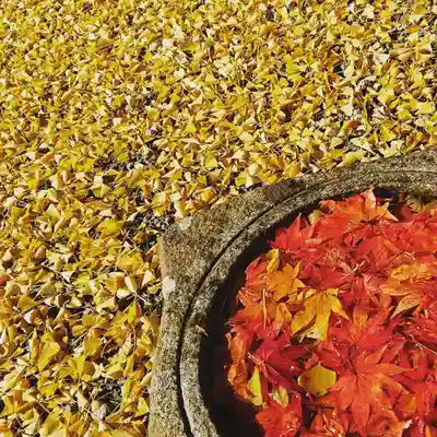 壽徳寺 じゅとくじの手水舎