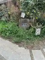 円照寺のその他建物