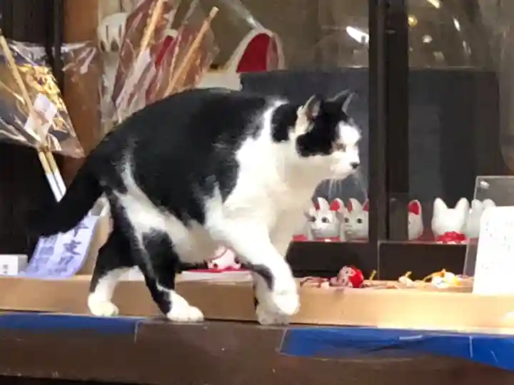 王子神社の動物