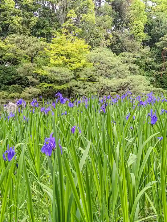 平安神宮(京都府)