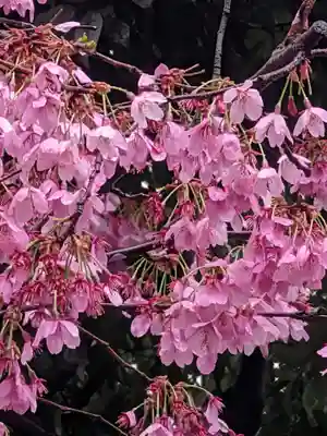 新井天神北野神社(東京都)