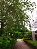 福蔵院(東京都)