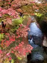 北野天満宮(京都府)