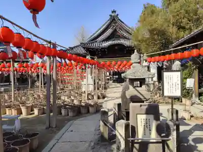 おふさ観音（観音寺）(奈良県)