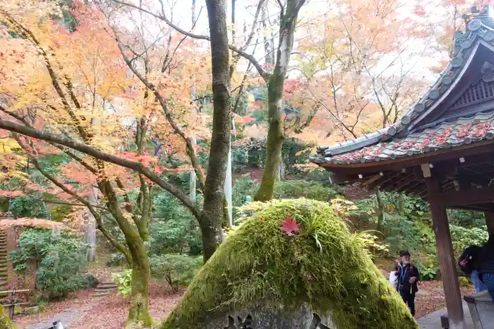 禅林寺(永観堂)(京都府)