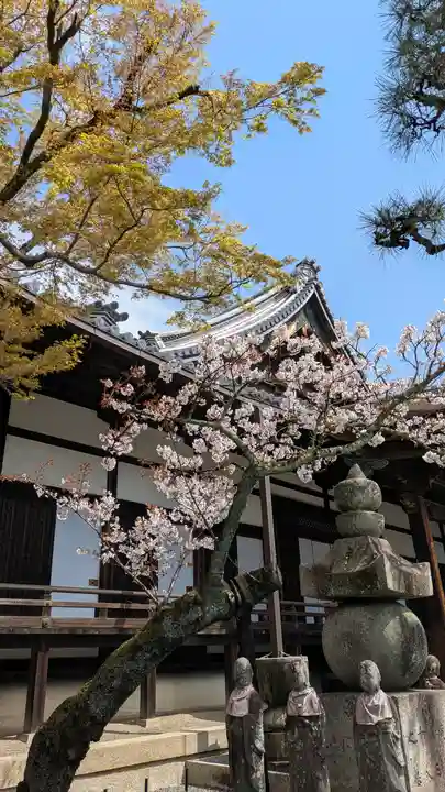 清浄華院(京都府)