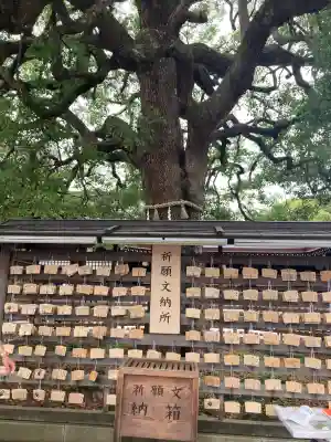 明治神宮(東京都)