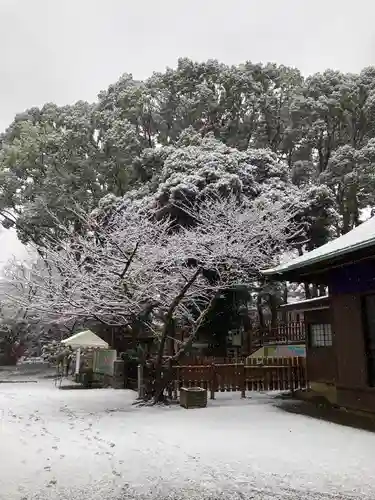 平塚八幡宮(神奈川県)