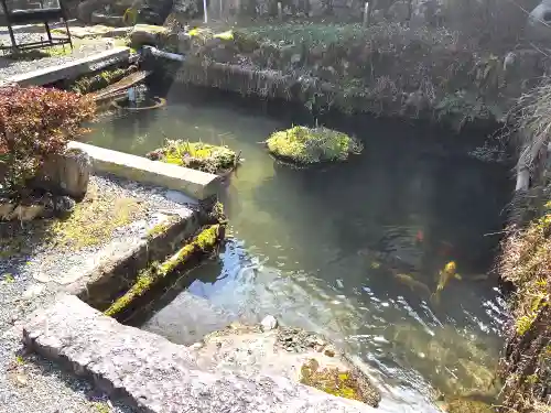 真福寺の庭園