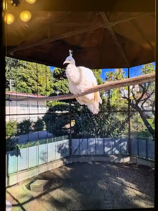 進雄神社(群馬県)