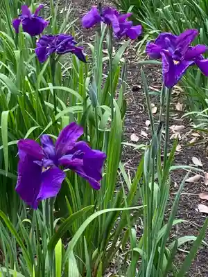 賀茂神社(愛知県)