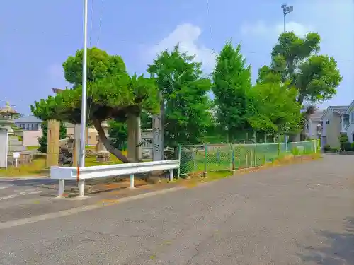 天神社（山之腰）の自然