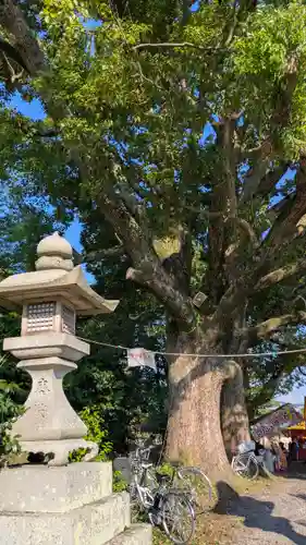 藤越神社(京都府)