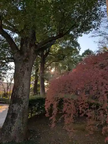 穴八幡宮(東京都)