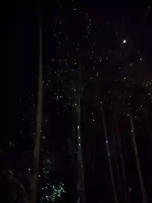 高台寺（高台寿聖禅寺・高臺寺）(京都府)