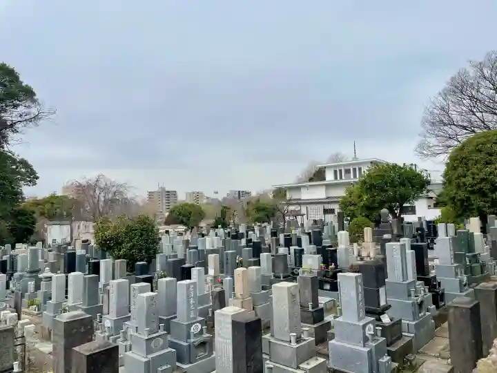 長運寺の{uncategorized: "未分類", other: "その他", undefined: "問題あり", building: "その他建物", grave: "お墓", sacred_gate: "鳥居", guardian: "狛犬", statue: "像", buddha: "仏像", history: "歴史", nature: "自然", garden: "庭園", animal: "動物", pagoda: "塔", temizu: "手水舎", mountain_gate: "山門・神門", sanctuary: "本殿・本堂", subordinate: "末社・摂社", art: "芸術", scenery: "景色", jizo: "地蔵", ema: "絵馬", goshuin: "御朱印", omikuji: "おみくじ", items: "授与品その他", amulet: "お守り", goshuincho: "御朱印帳", eats: "食事", festival: "お祭り", votive_dance: "神楽", shichigosan: "七五三参", wedding: "結婚式", experience: "体験その他", initially: "初詣", around: "周辺", anti_infection: "感染症対策"}