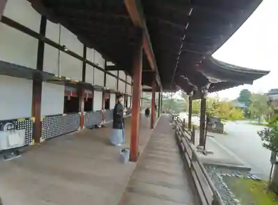 大覚寺(京都府)