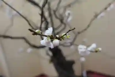 菅原天満宮（菅原神社）のその他建物