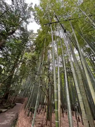 報国寺(神奈川県)