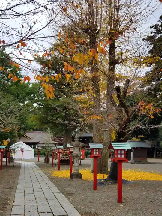 鷲宮神社(埼玉県)