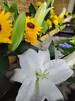 厚別神社(北海道)