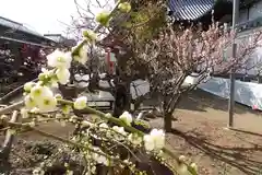 菅原天満宮（菅原神社）(奈良県)