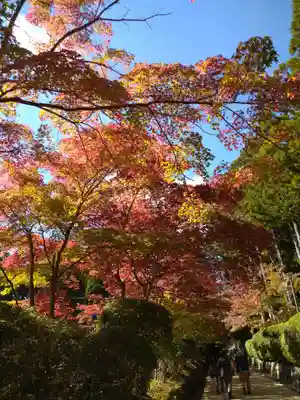 壇上伽藍(和歌山県)