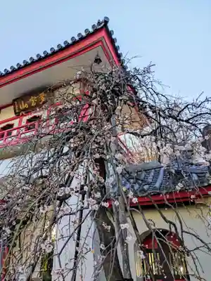 成願寺(東京都)