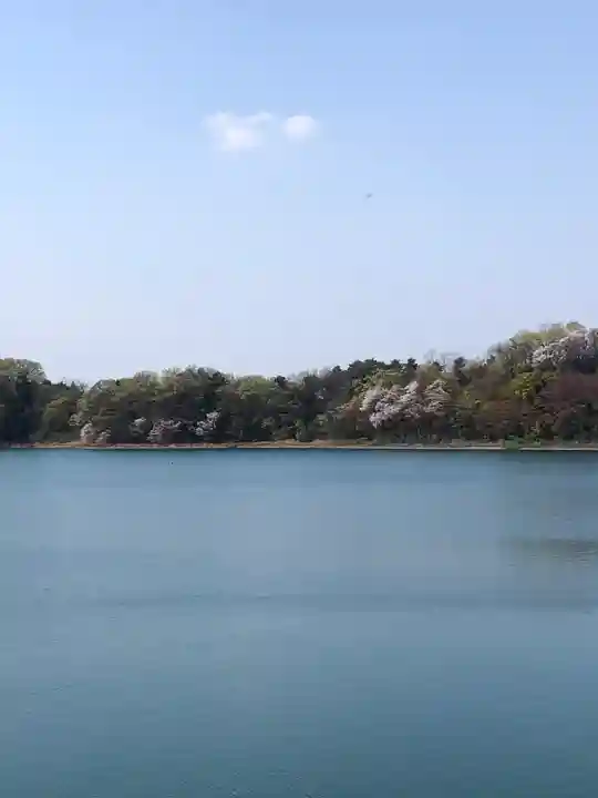 氷川神社の周辺