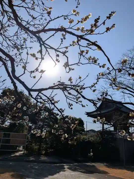 福蔵院(東京都)