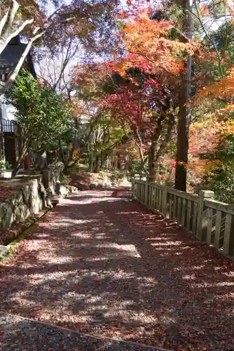 柳谷観音　楊谷寺の庭園