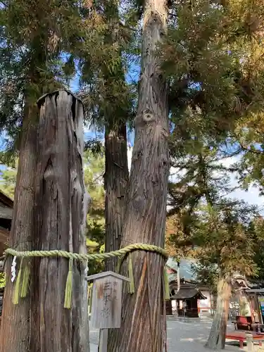 建部大社の自然